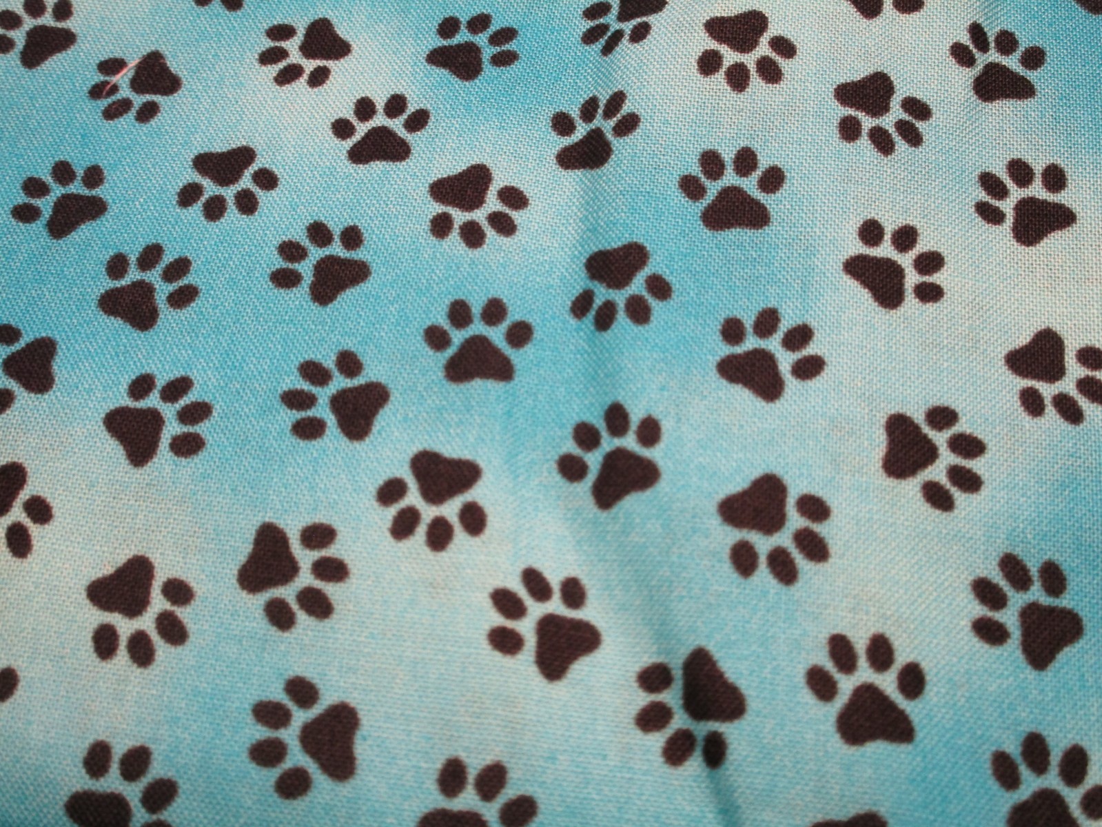1 Fat Quarter Cotton Black & Blue Pet Dog Animal Paws Approx 21″ x 18″