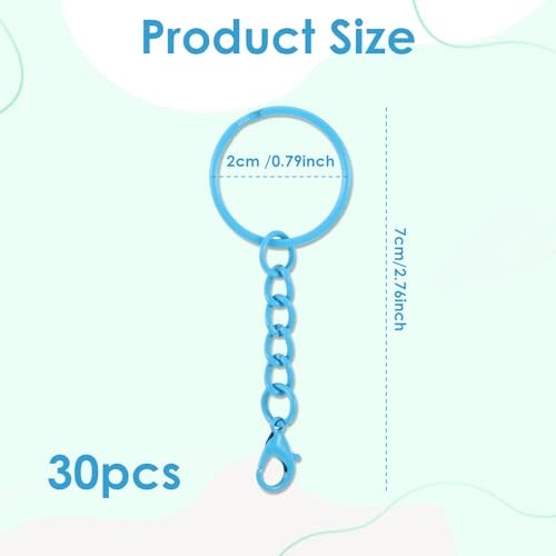 30 Pcs Keychain Rings for Crafts 10 Colors Bulk Metal Keychain Cute Keychains