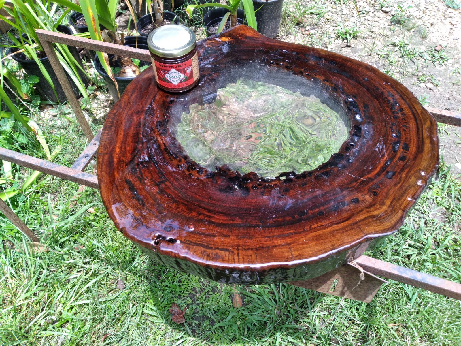 2 Slabs 2″ THICK Bookmatched Returns Accepted! Authentic Pecky Sinker Cypress