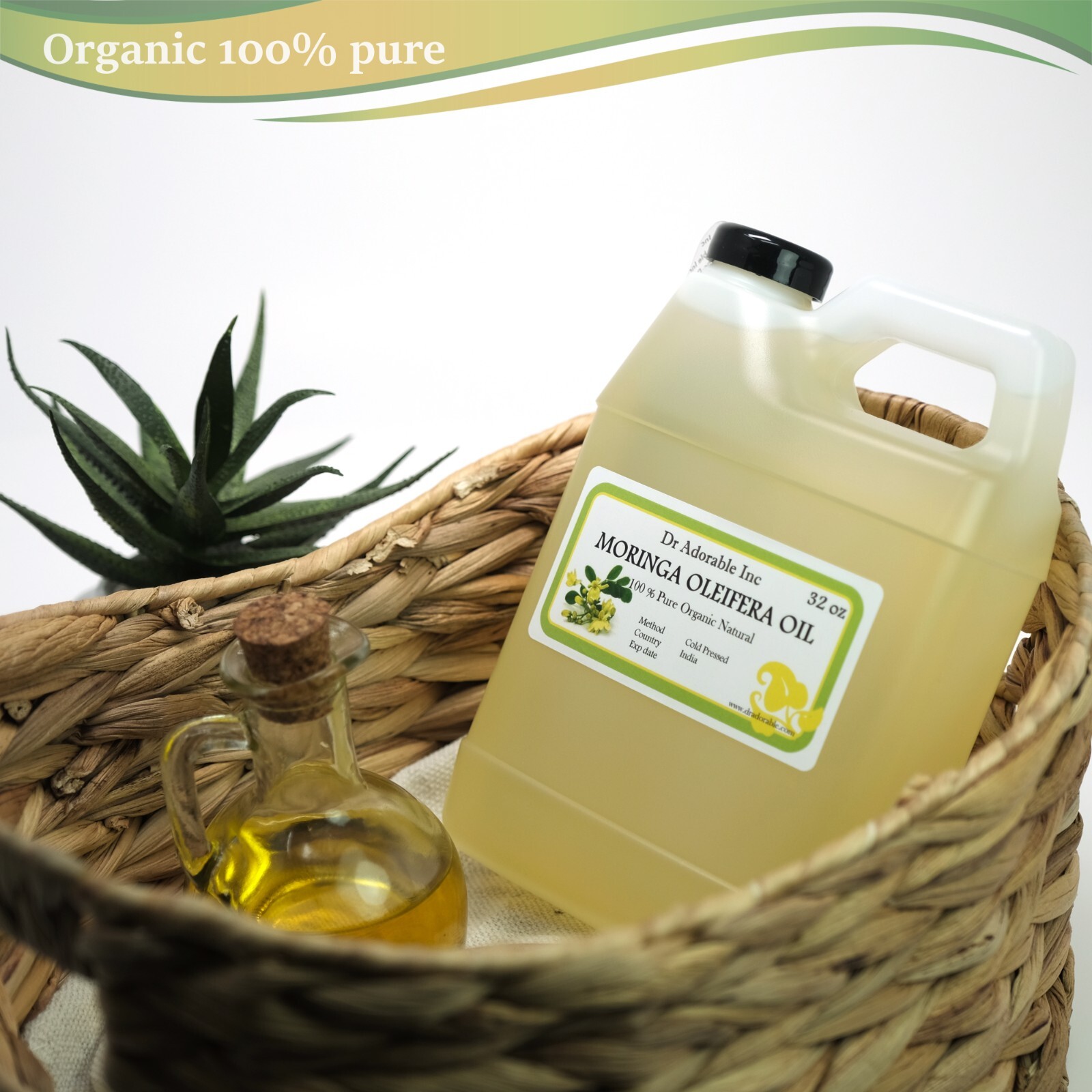 Organic Moringa Oleifera Oil 100% Pure Organic 2 oz up to Gallon Free Shipping