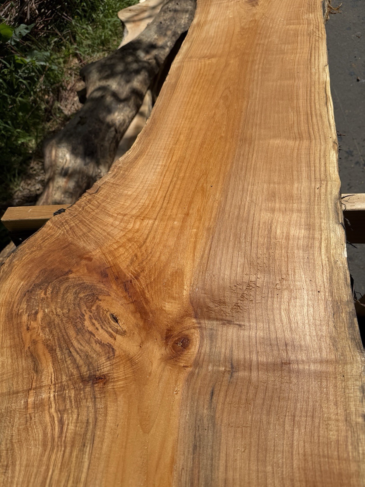 13’ Live Edge Big Leaf Maple Slab Highly Figured Low Moisture Delivery Options