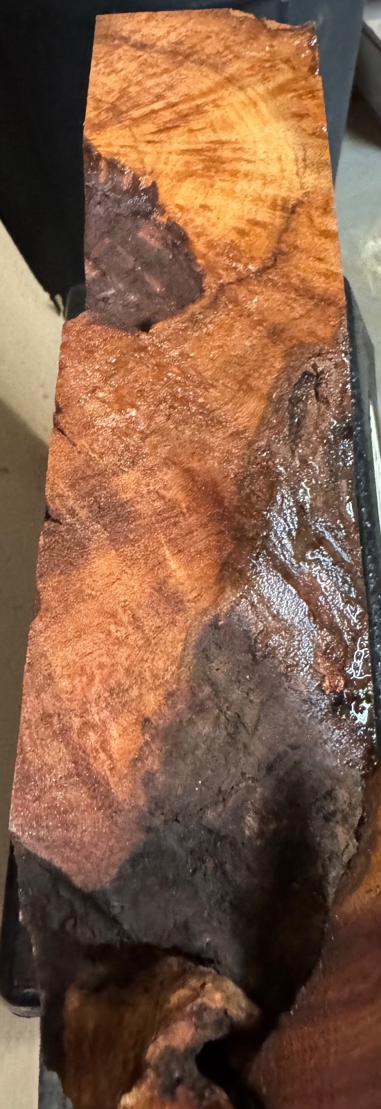 Camphor Burl,turning blank, Bowls,Penblanks,#CAM932