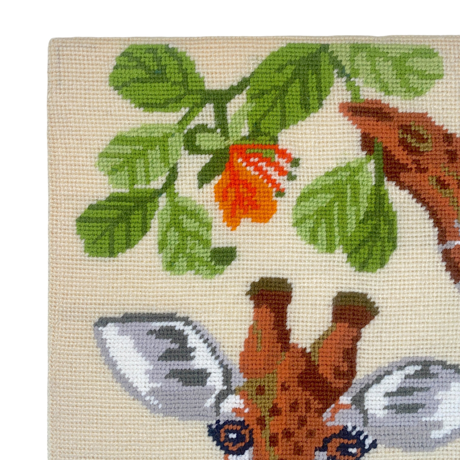 Giraffes Eating Leaves Bucilla Needlepoint Brown Green Orange Complete 14in 4576