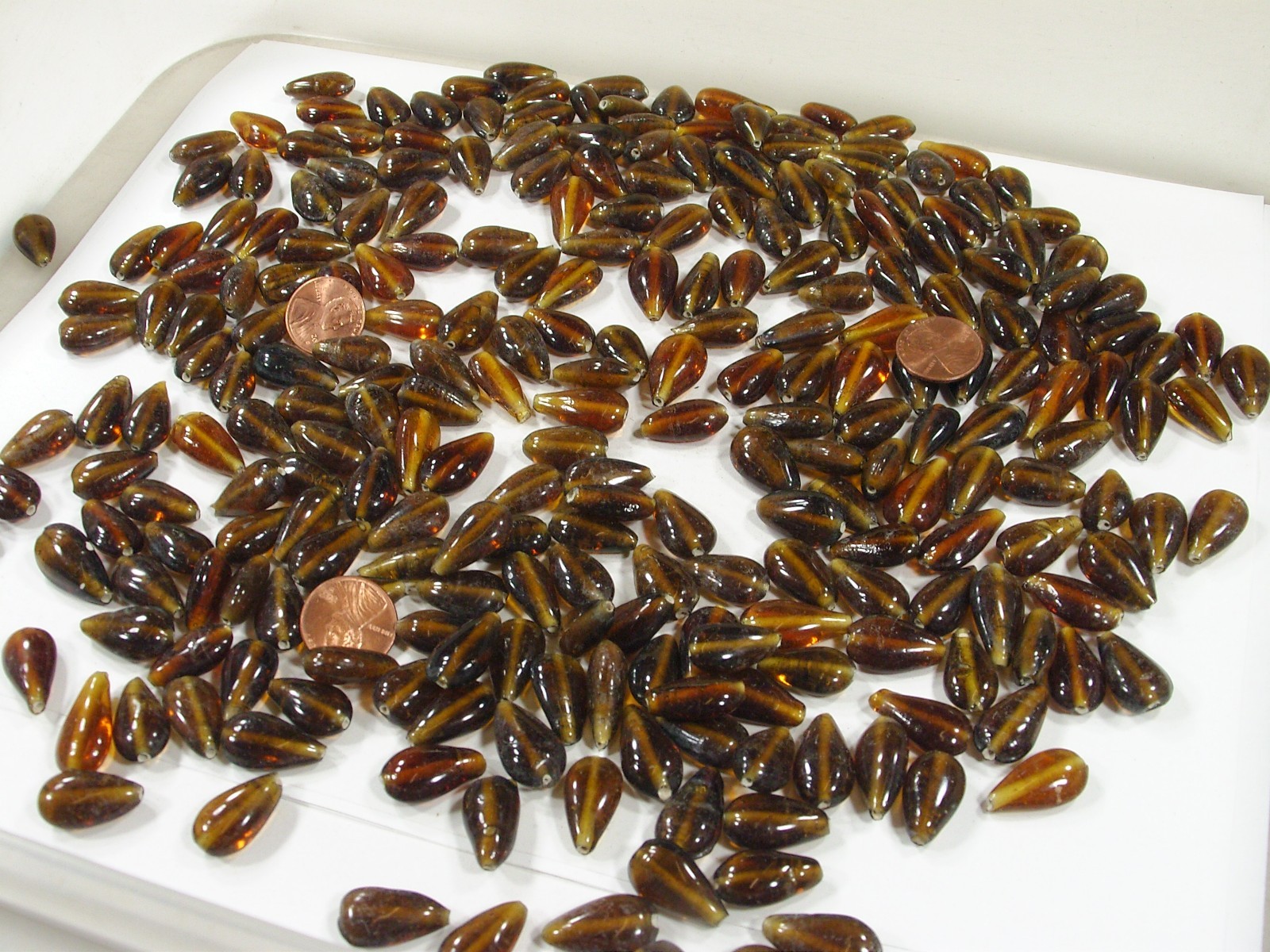 2 Pounds (7mm x 11mm x 19mm) Brown Handmade Glass Beads Wholesale (JMG-3) ⭐