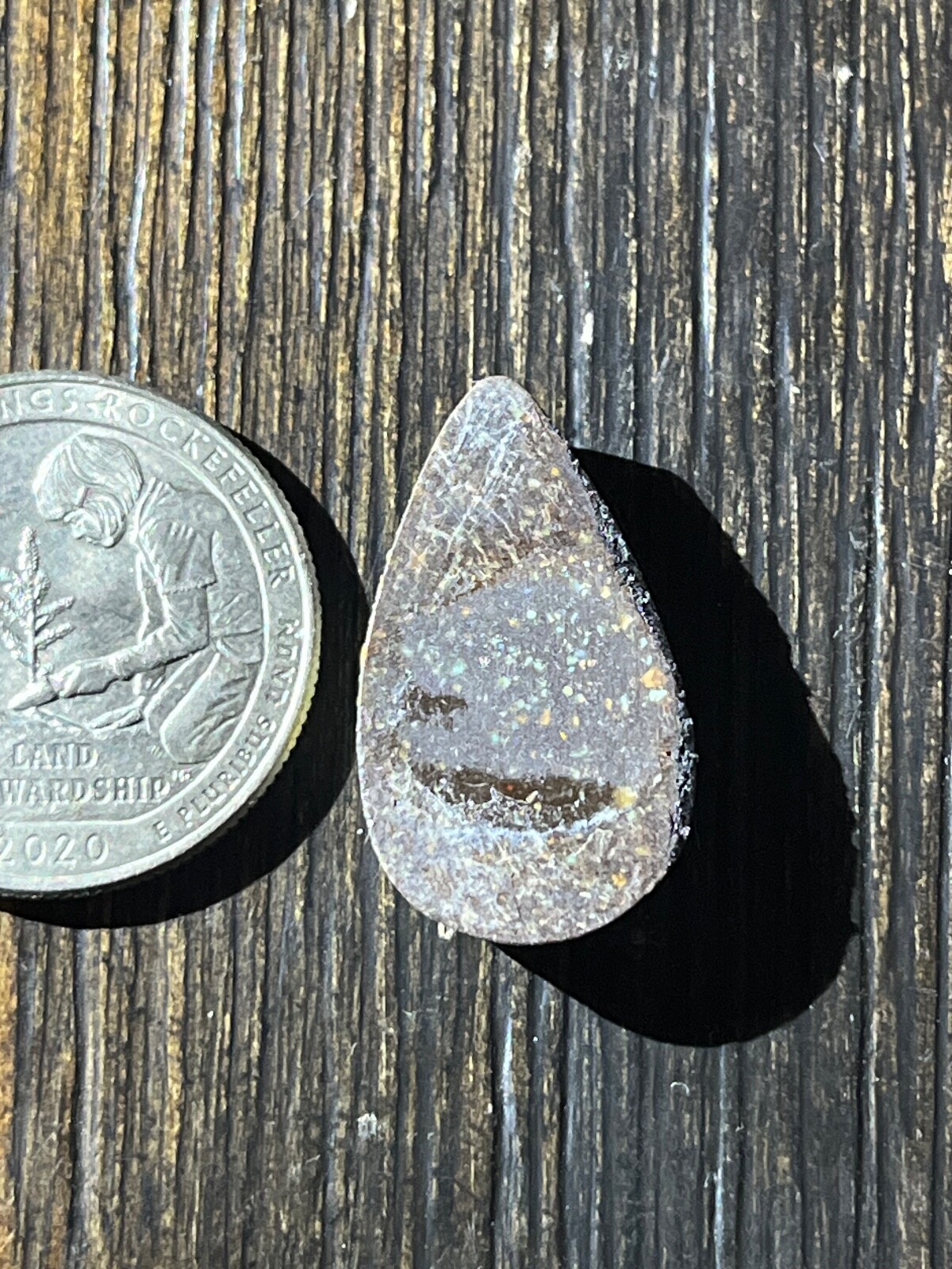 Tree Frog Variscite mine 10.3 ctw pear tear drop Cabochon NV, USA