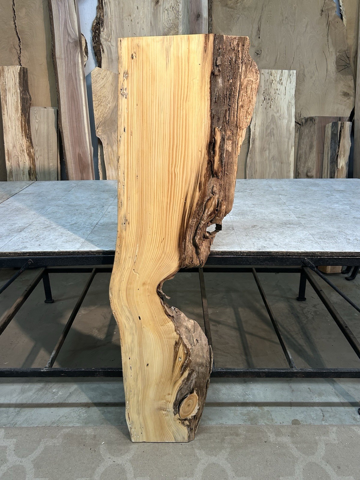 Gnarly Live Edge Pine Wood Slab/ Rustic Shelf or Mantle/Dried Wormy Pine Wood
