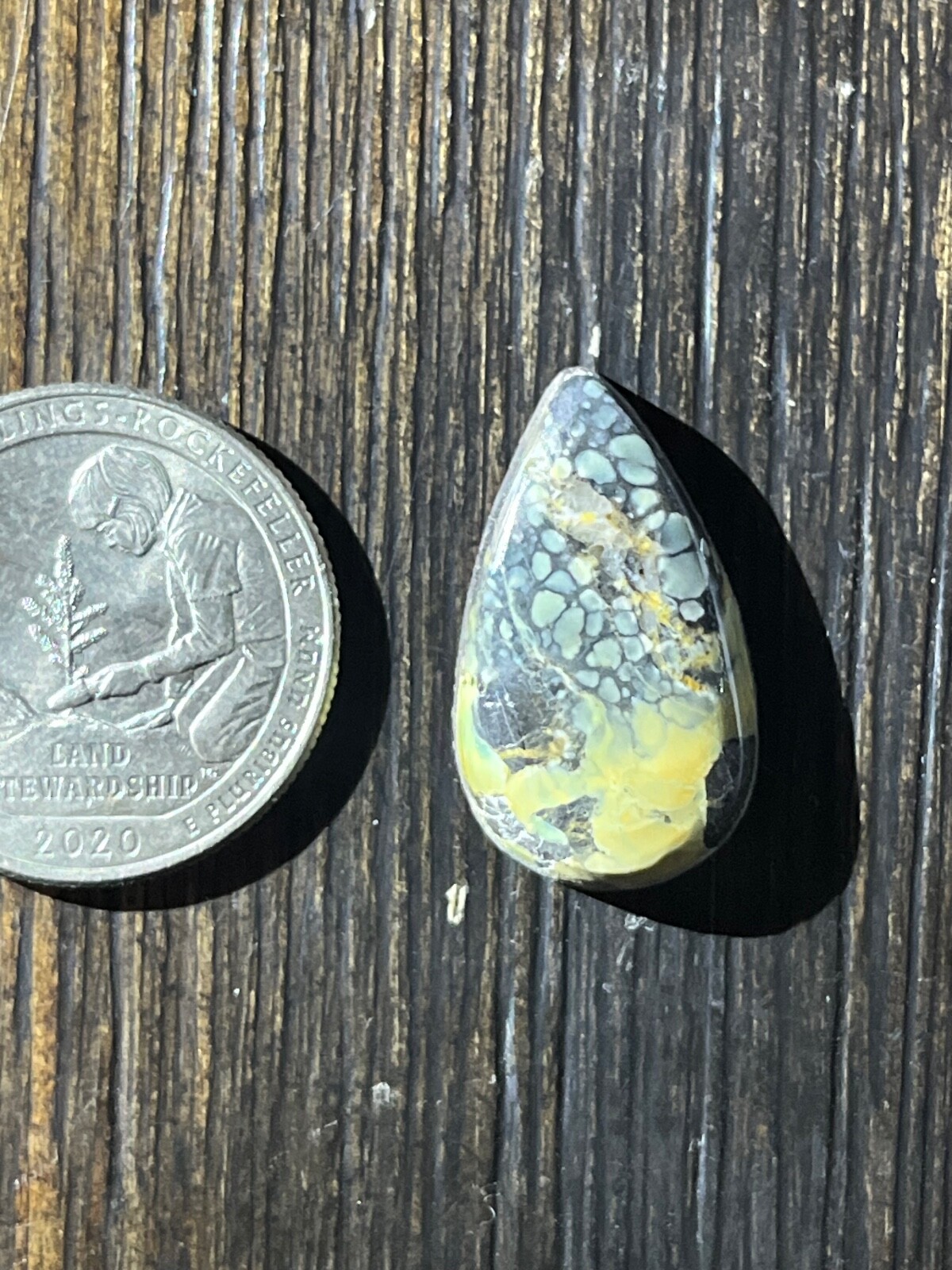 Tree Frog Variscite mine 10.3 ctw pear tear drop Cabochon NV, USA
