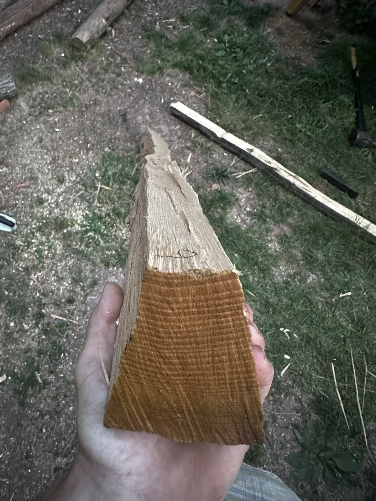 Premium Grade, Aged And Cured Black Locust Bow Staves