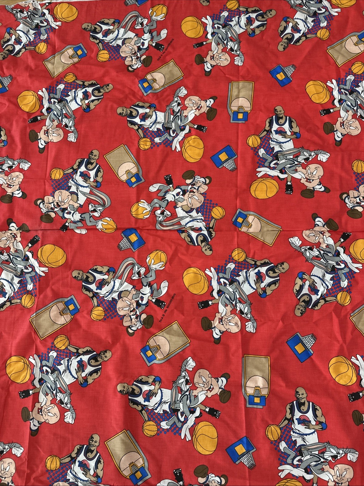 RARE WARNER BROS VINTAGE Space Jam Michael Jordan, & Bugs FABRIC 180” x 44″