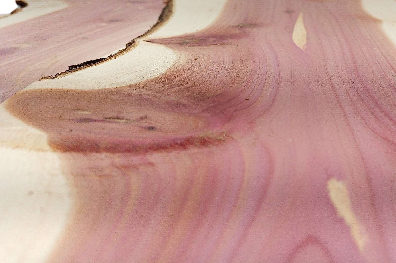 RED AROMATIC CEDAR Milled Live Edge SLABs 1/2in Thick 15 Pounds Ships Free!