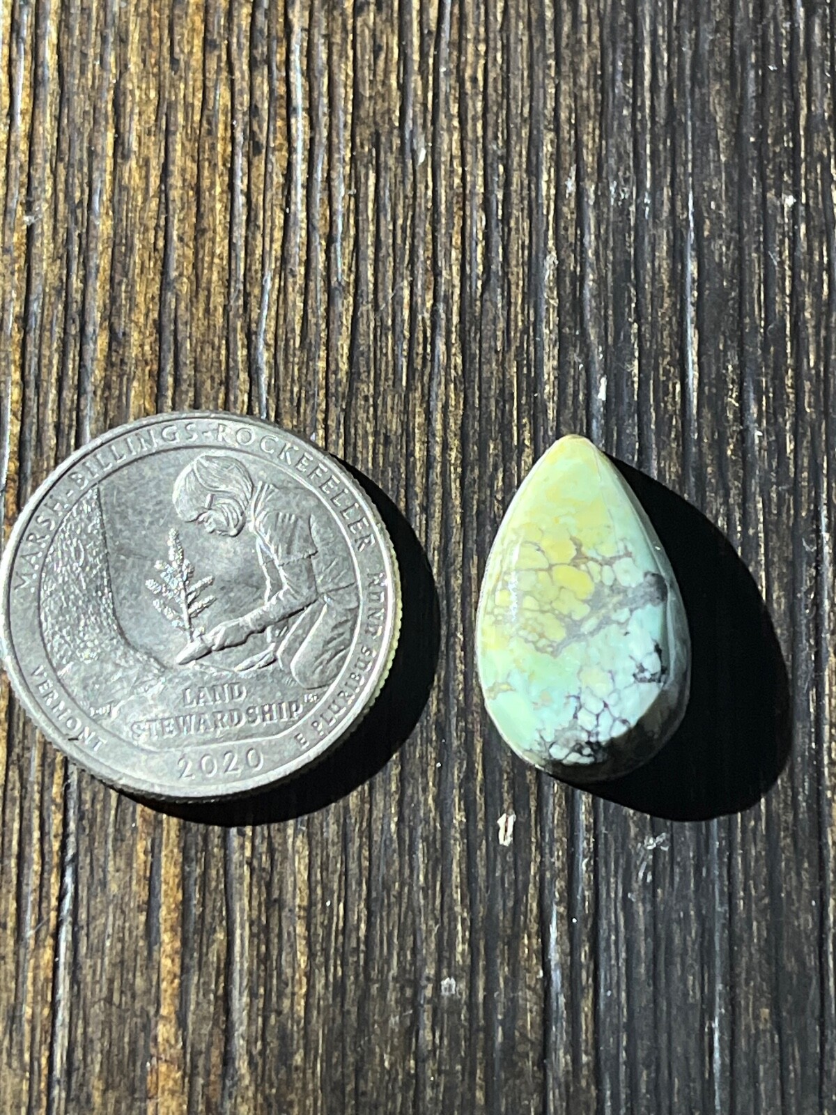 Tree Frog Variscite mine 8.35 ctw pear tear drop Cabochon NV, USA