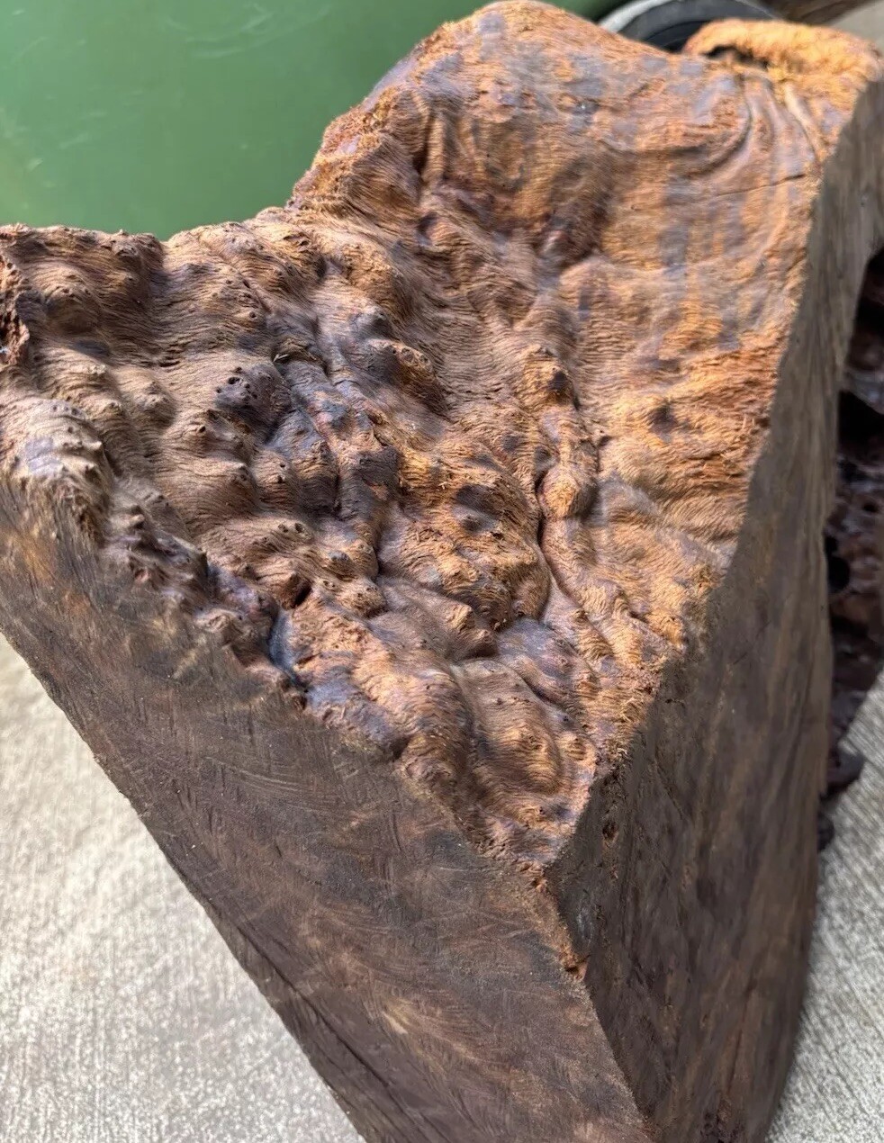 12106 Camphor burl wood turning blank ,hybrid Scale,Dried, 30”x 15”x 6”