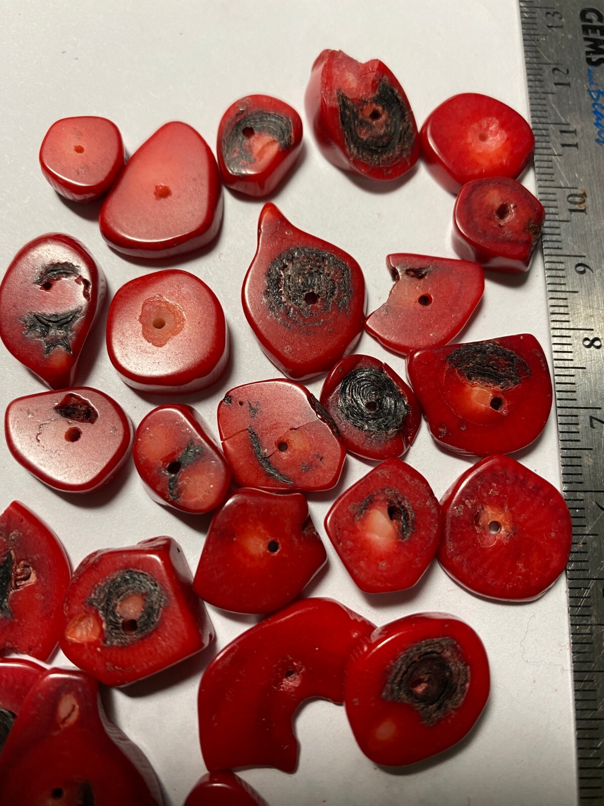 Bamboo Coral Beads 4mm to 28mm