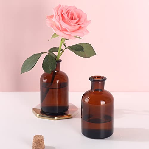 Decorative Round Glass Bottles with Cork Stoppers (2 Pcs/Amber / 4 fl oz.)