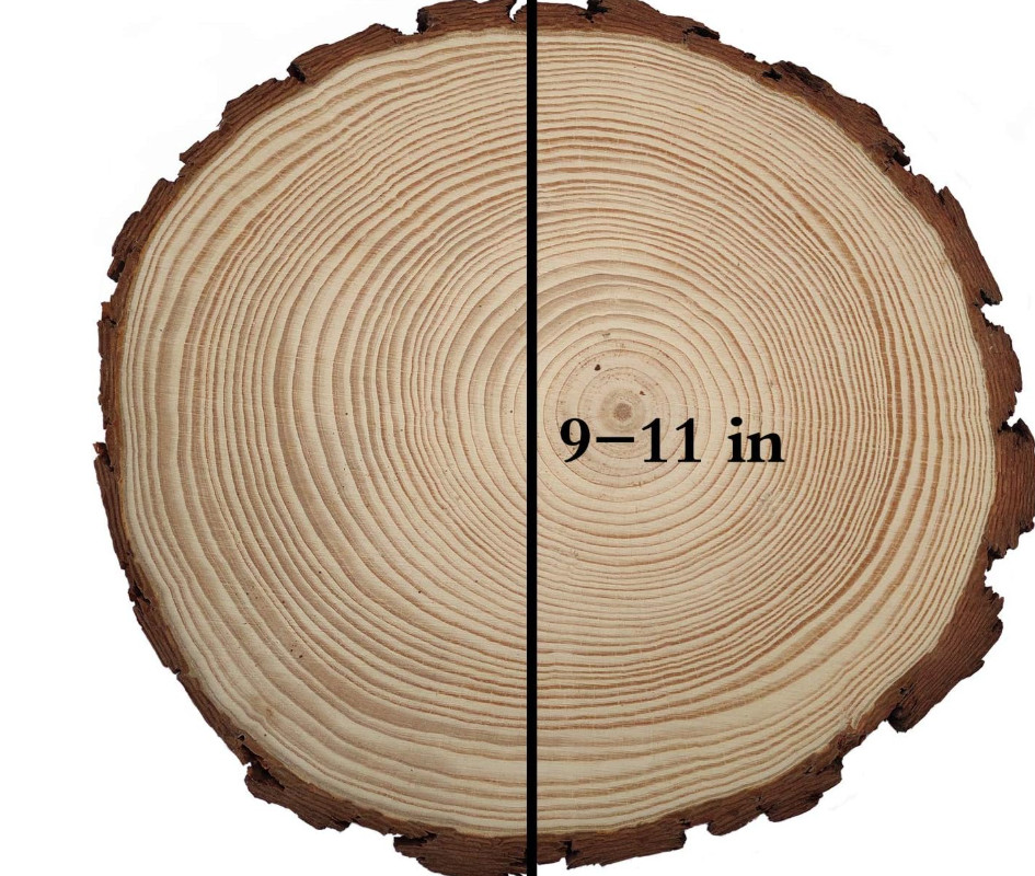 USED EACH Natural Pine Wood Tree Slices Unfinished with Bark 9-11″x1″(U11)