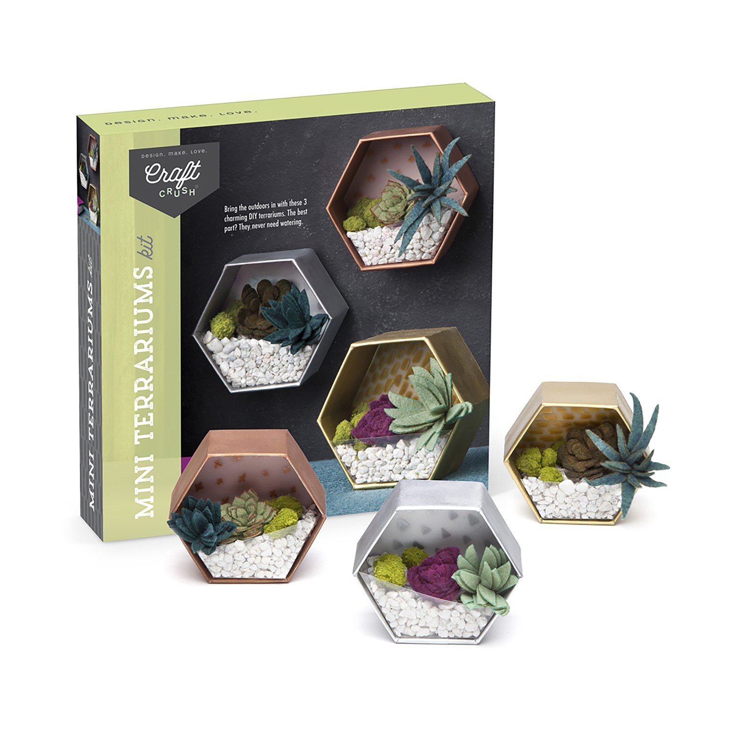 New – Ann Williams Craft Crush – Mini Terrariums Kit – Ages 13+ | 1-3 players