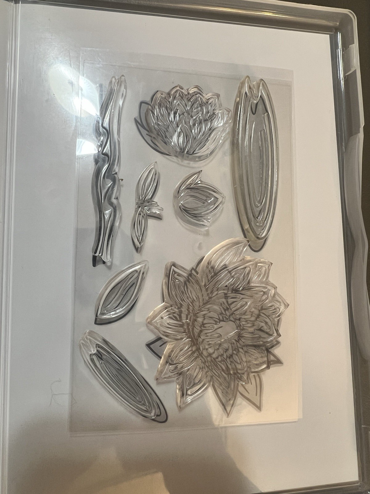 Stampin’ Up! Lovely Lily Pad Stamp Set & Coordinating Lily Pad Dies Bundle