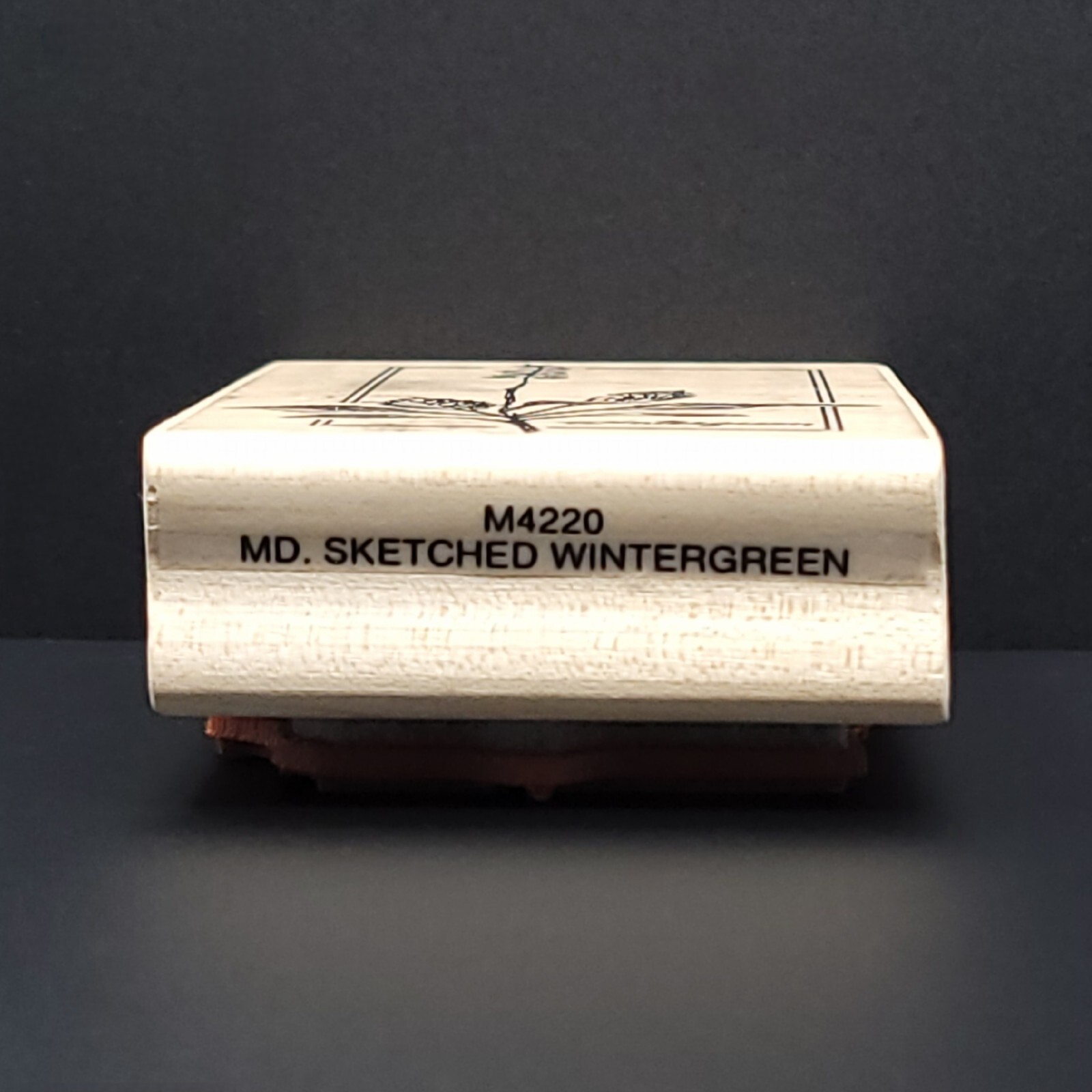 Stampington & CO MD Sketched Wintergreen Wood Mounted Rubber Stamp M4220