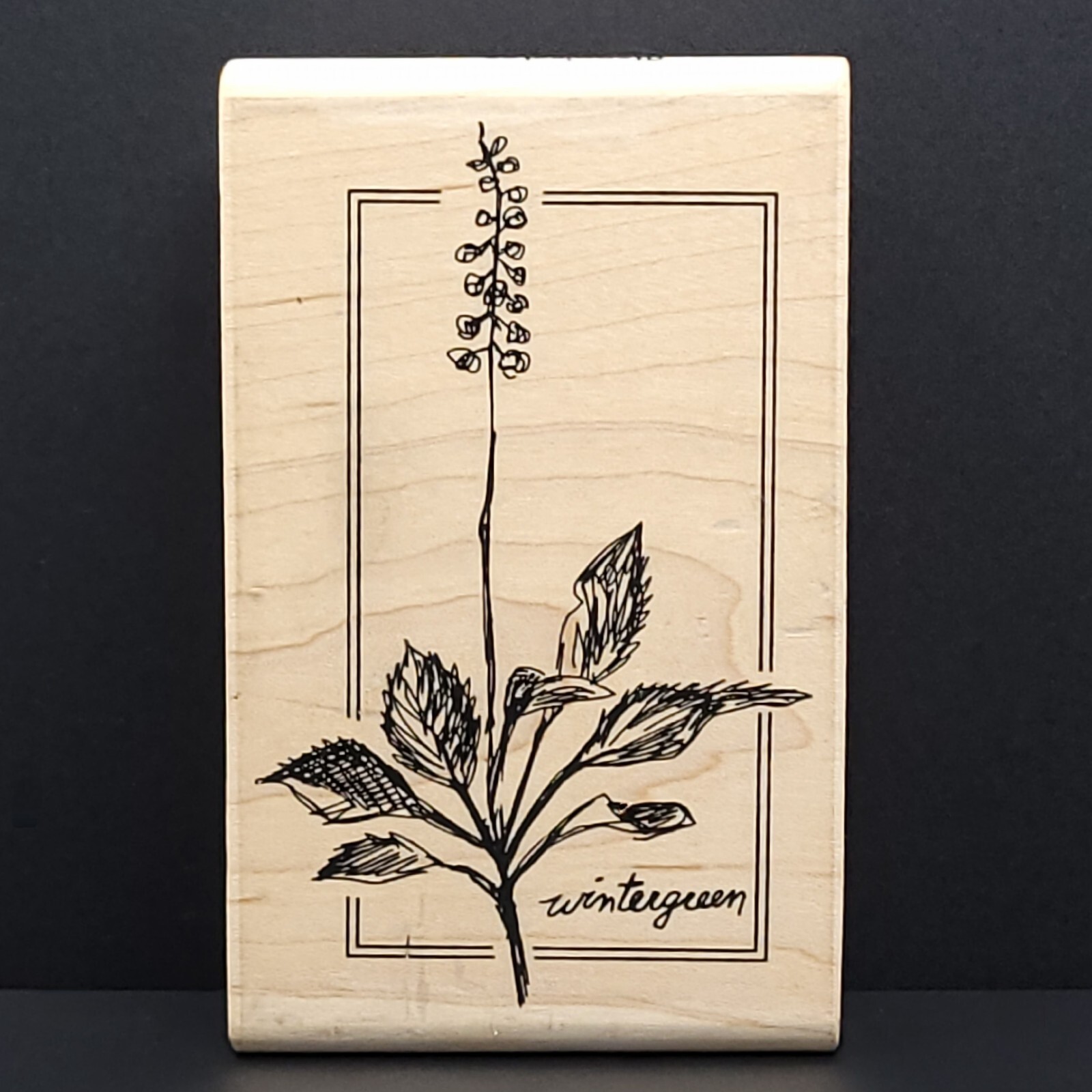 Stampington & CO MD Sketched Wintergreen Wood Mounted Rubber Stamp M4220
