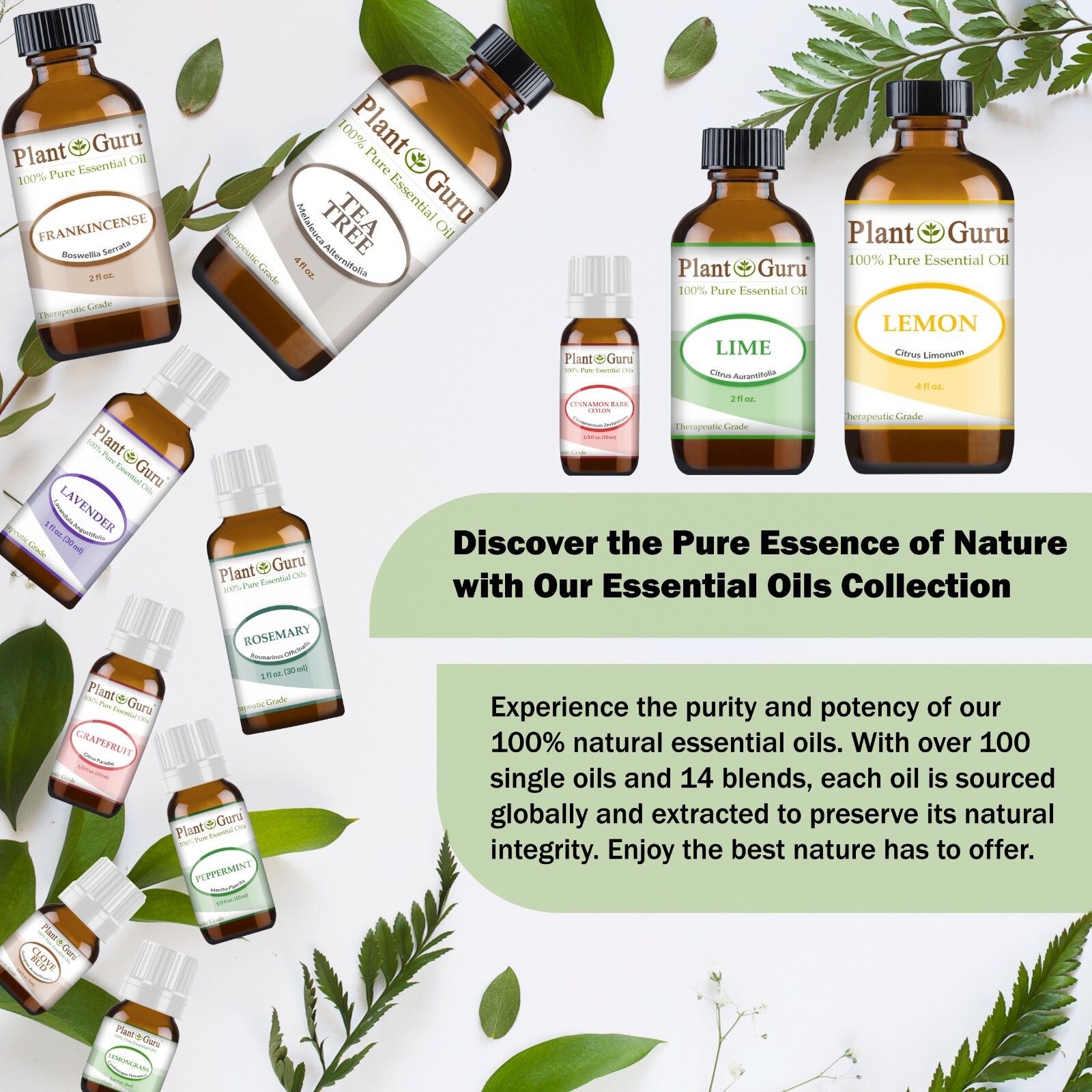 Bulk Essential Oil 32 oz. 100% Pure Natural Therapeutic Grade Oils Wholesale