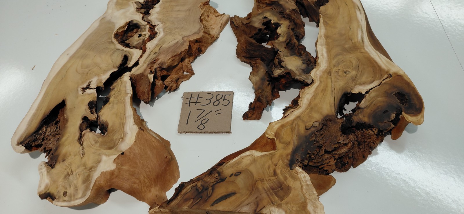 Burl – Fruitless Mulberry Slice. Live Edge. Resin Project, wall art