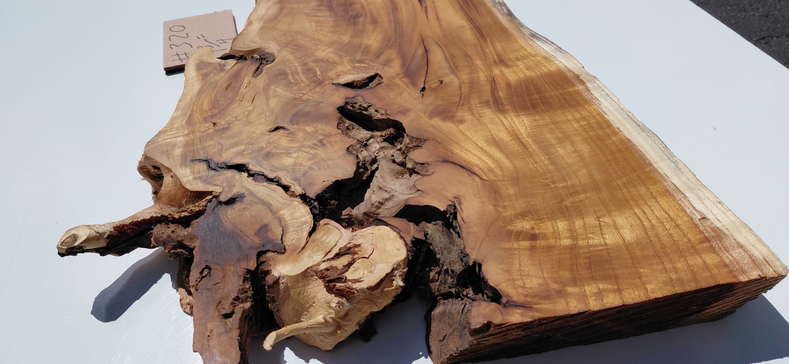 Burl – Fruitless Mulberry Slice. Live Edge. Resin Project, wall art