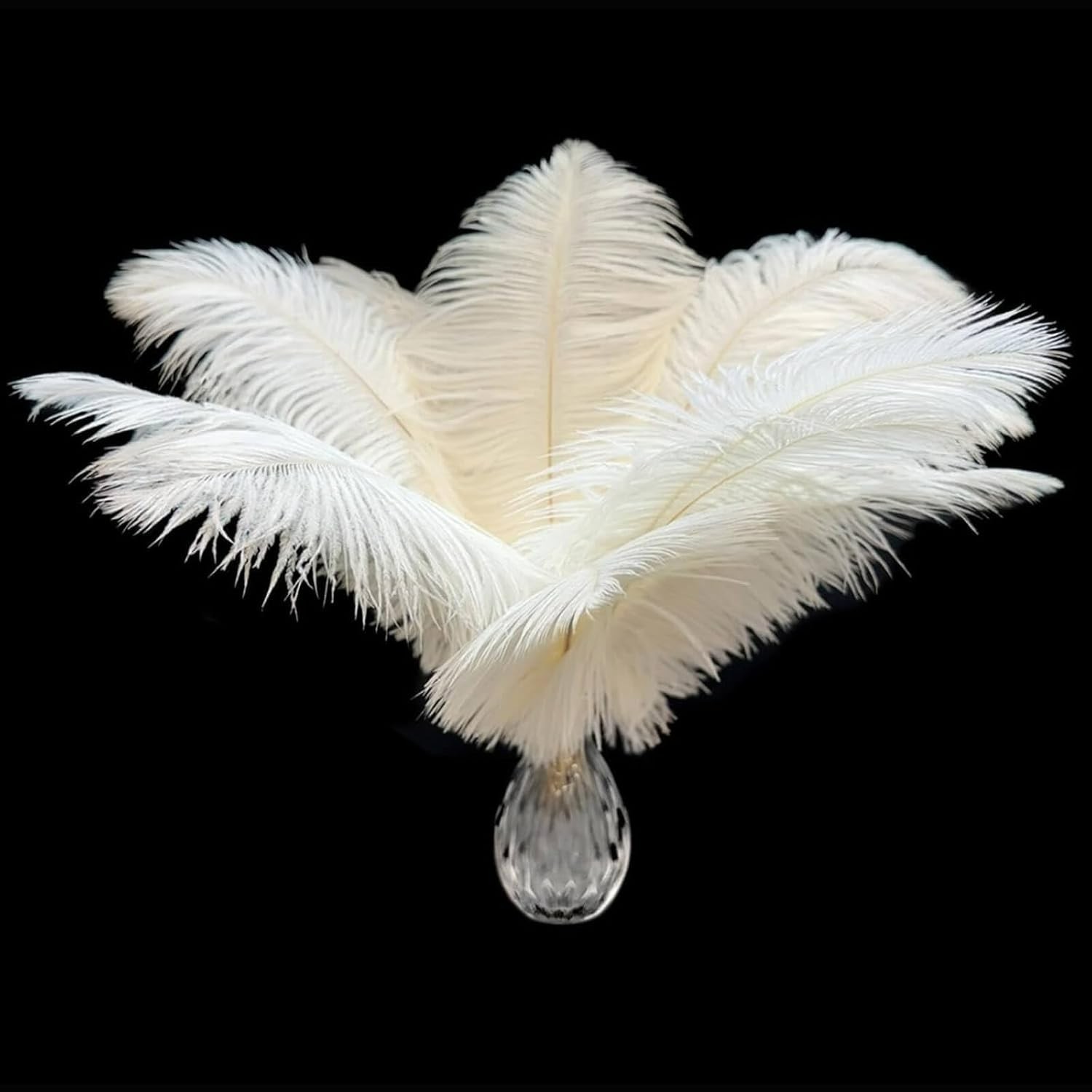 Natural Cruelty-Free 20 pcs White Ostrich Feathers 6-8” for Stylish Centerpieces