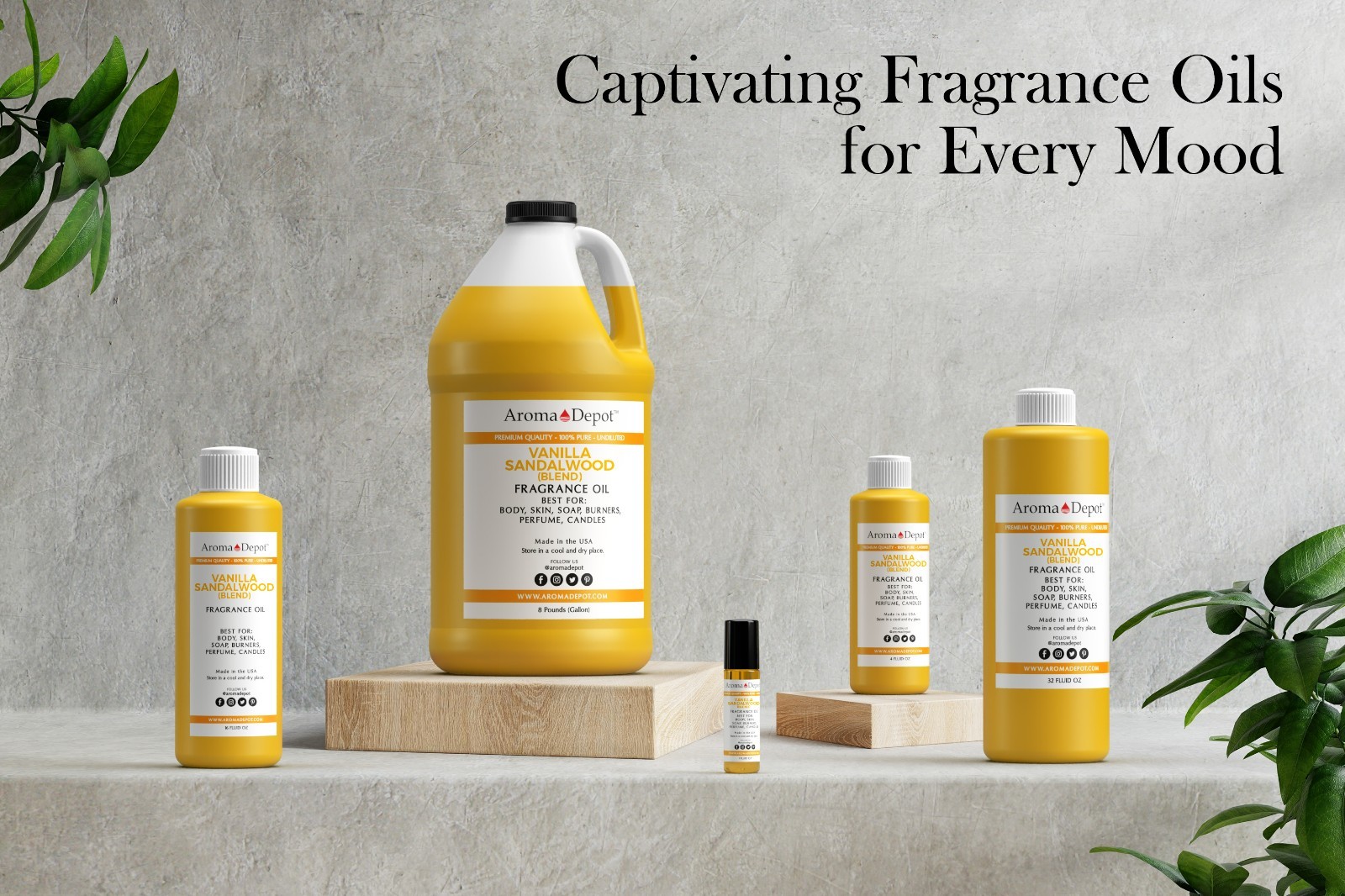 Vanilla Sandalwood Fragrance Oil for Body, Candles, Soap, Lotion, & Perfumes