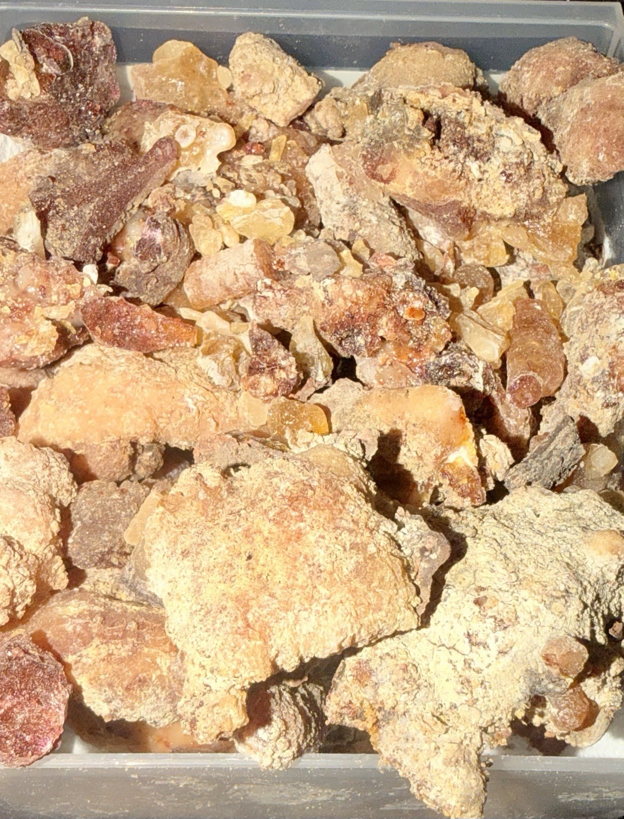 Harvested Pine Resin- Raw, Organic, Unfiltered Tree Sap- Salves, Incense… 14