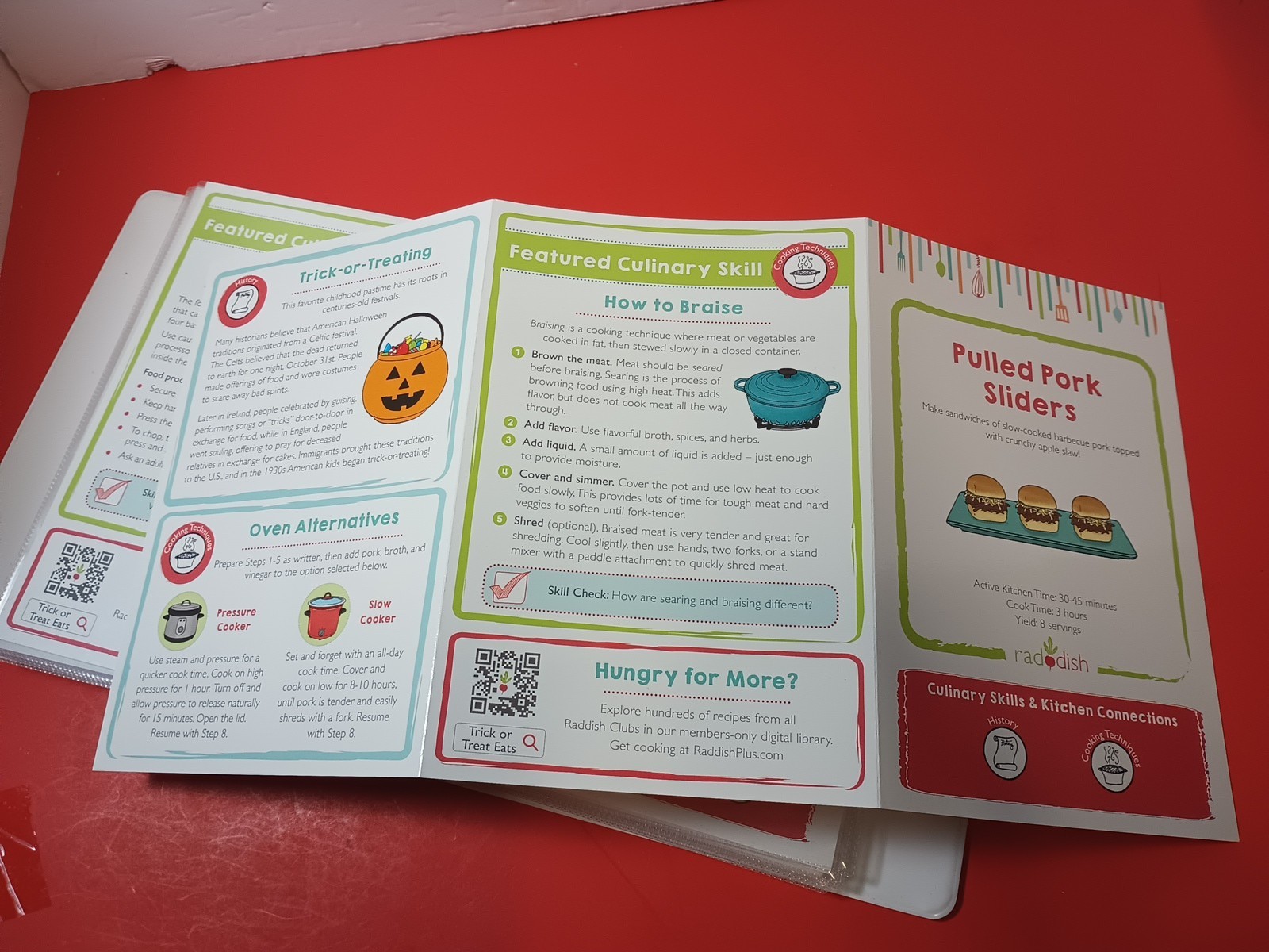 Lot Of 18 RADDISH KIDS Cooking Recipe Cards, INSTRUCTIONS, TRI-FOLD +12 Cards