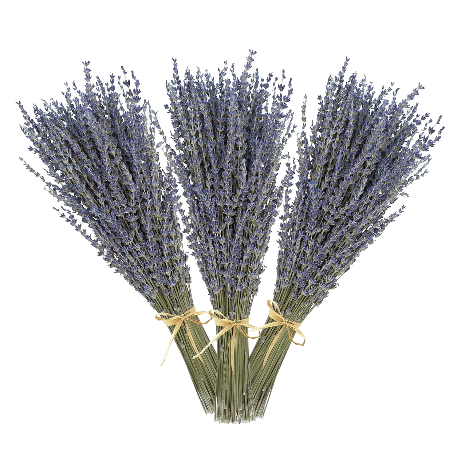 Dried Lavender 3 Bunches Fresh Natural Purple Flowers for Bathroom Photo Props