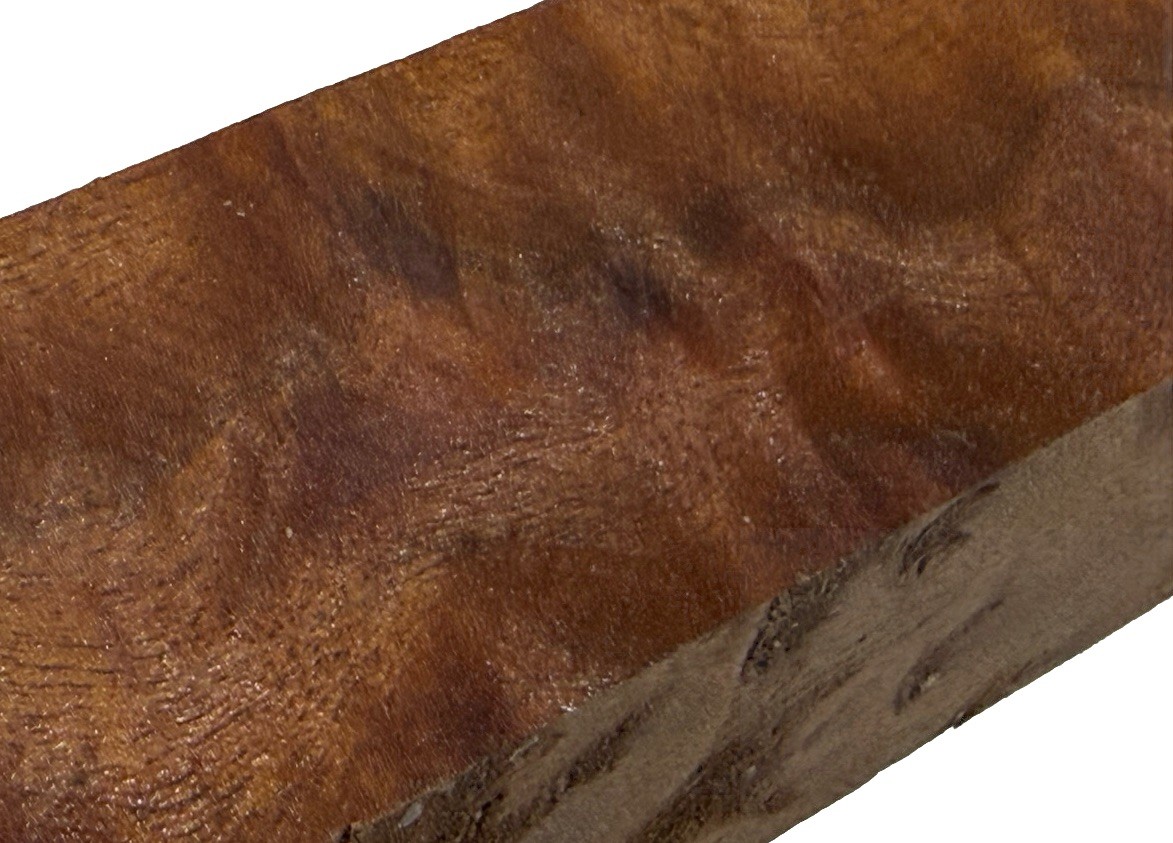 Camphor burl wood turning blank 2-1/4″ x 2-1/4″ x 14-1/4″ (e99) Dried