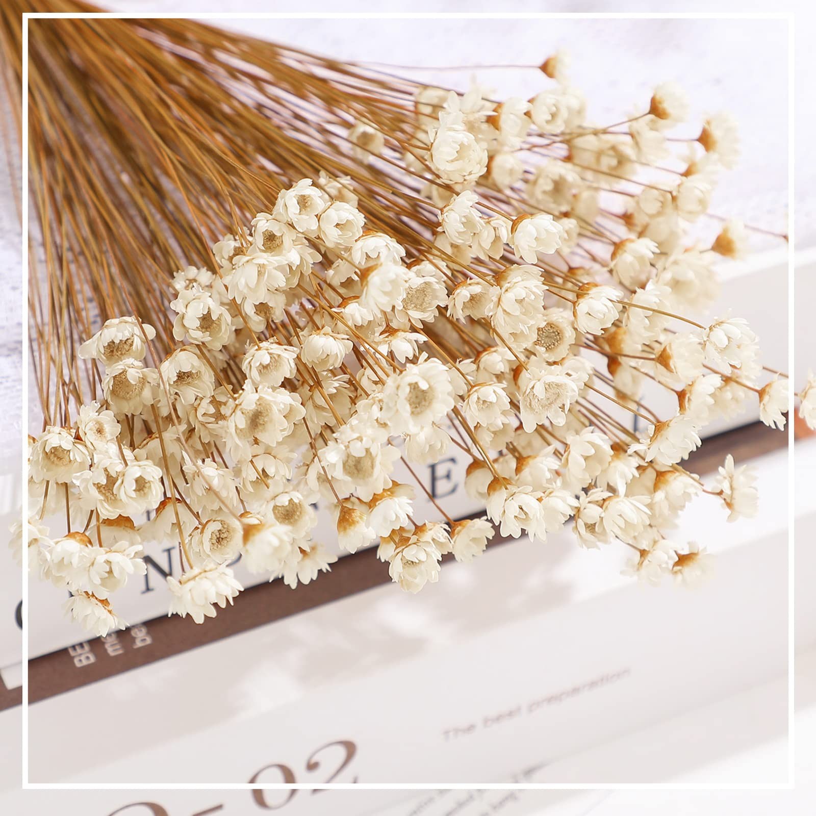 500 PCS Natural Dry Flowers Mini Chamomile Small Star White Daisy Bouquet