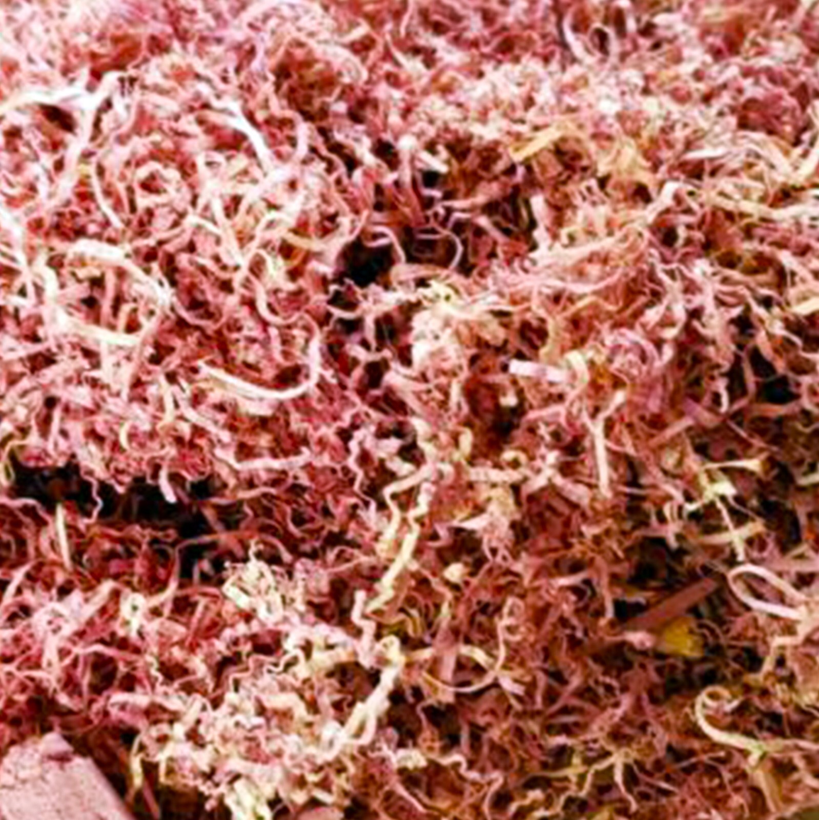 Eastern Red Cedar Shavings Fresh Aromatic Wood Chips Sawdust Red Cedar – 1 Ounce