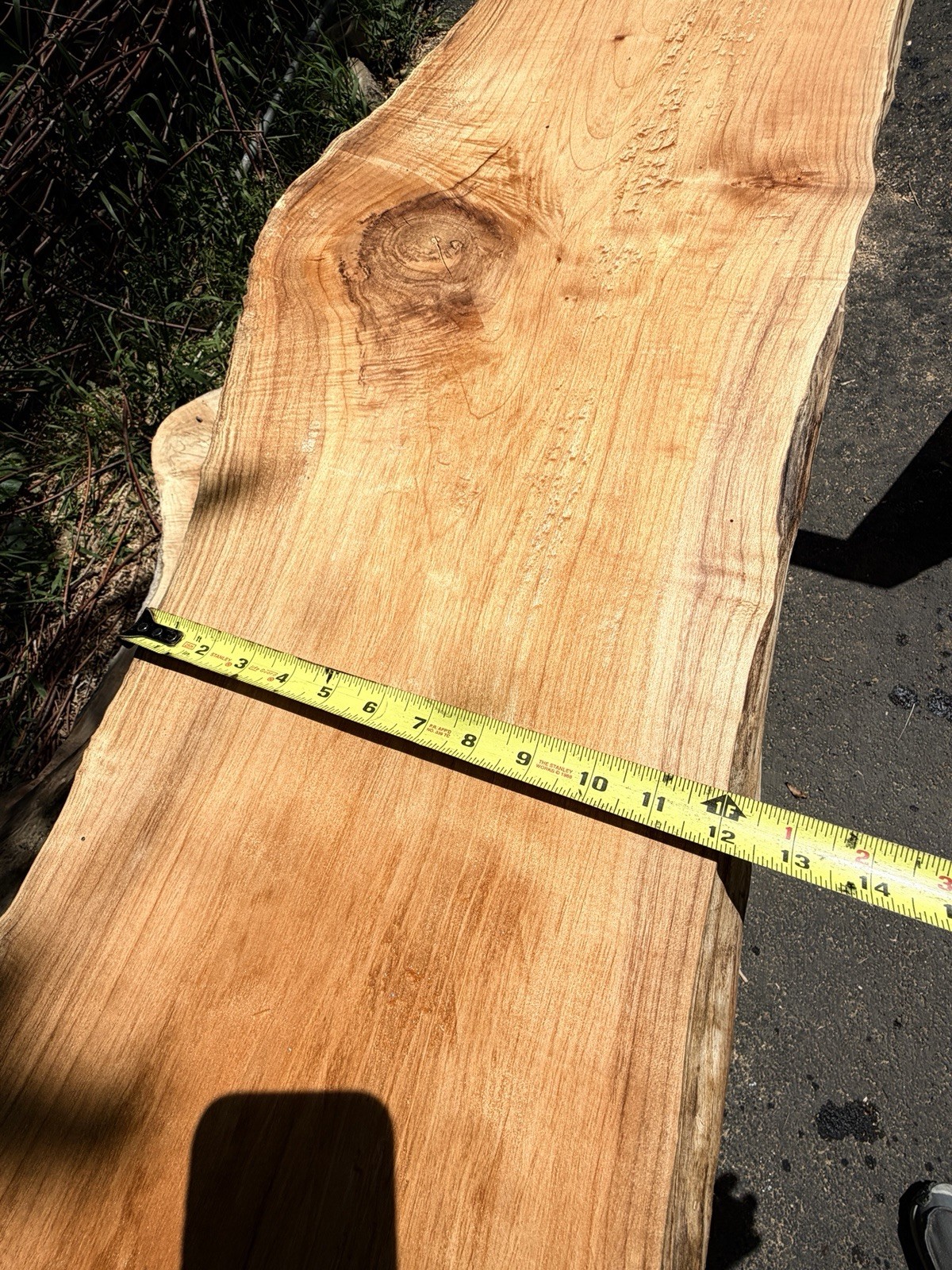 13’ Live Edge Big Leaf Maple Slab Highly Figured Low Moisture Delivery Options