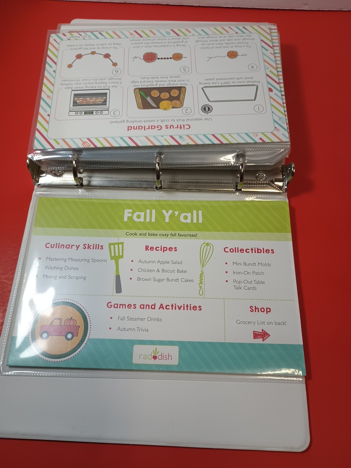 Lot Of 18 RADDISH KIDS Cooking Recipe Cards, INSTRUCTIONS, TRI-FOLD +12 Cards