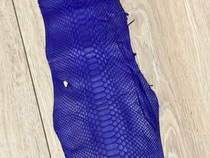 Royal Blue Genuine Python Snakeskin Leather real hide snake skin rattle boa 639