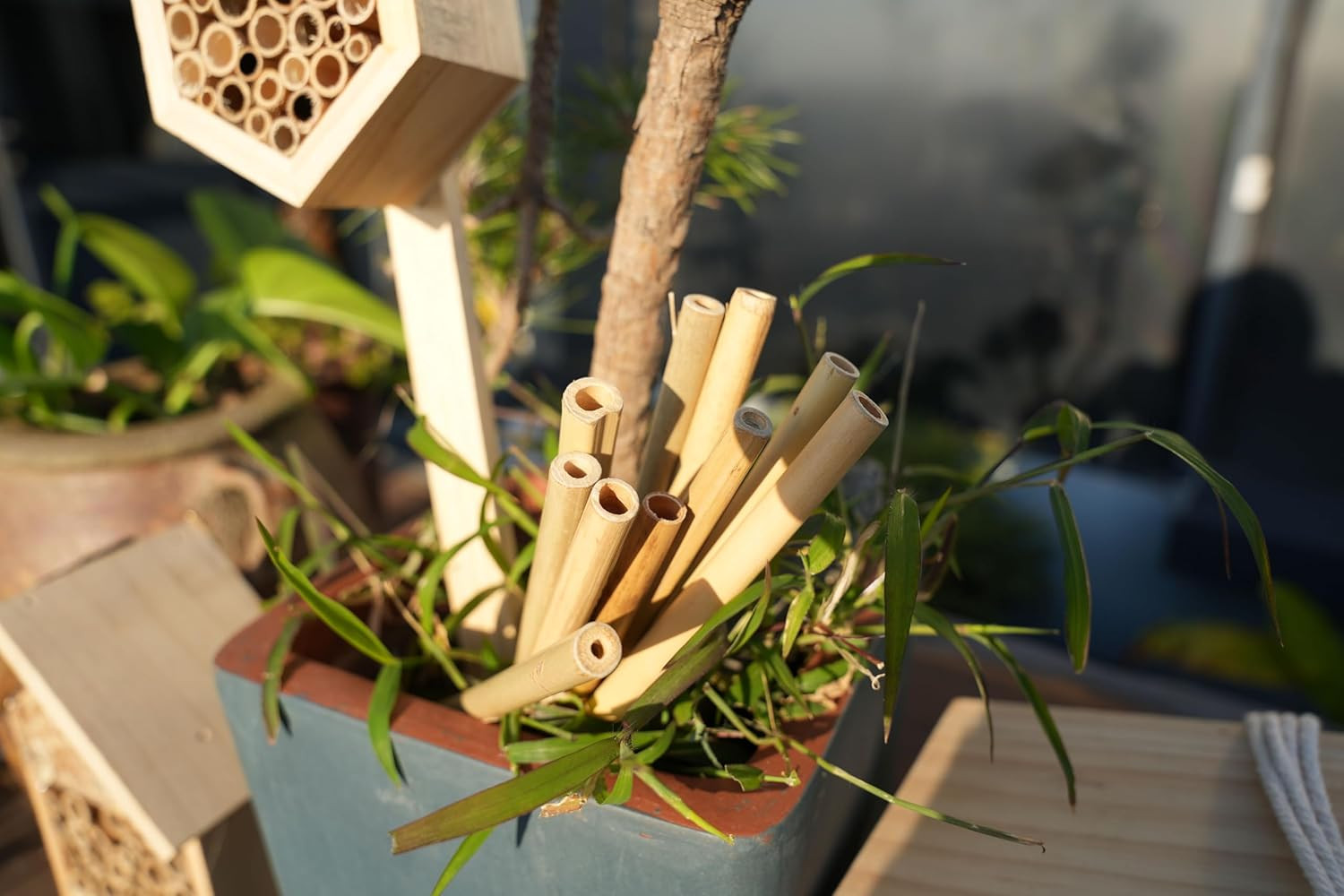 Bamboo Craft Tubes – 100 Count, 5″ Eco-Friendly Sticks for DIY Bee Hotels, So…