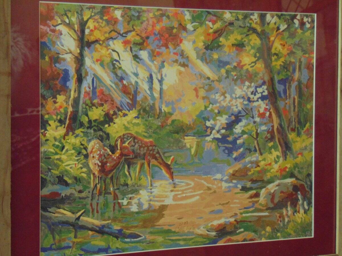 FRAMED DEER PAINT BY NUMBER signed Steve Davis custom wood frame matte & glass