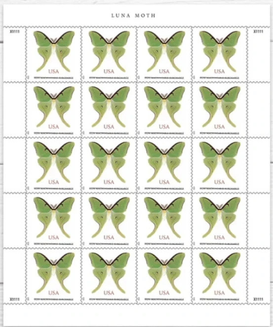 ANIMALS & NATURE – 1 sheet