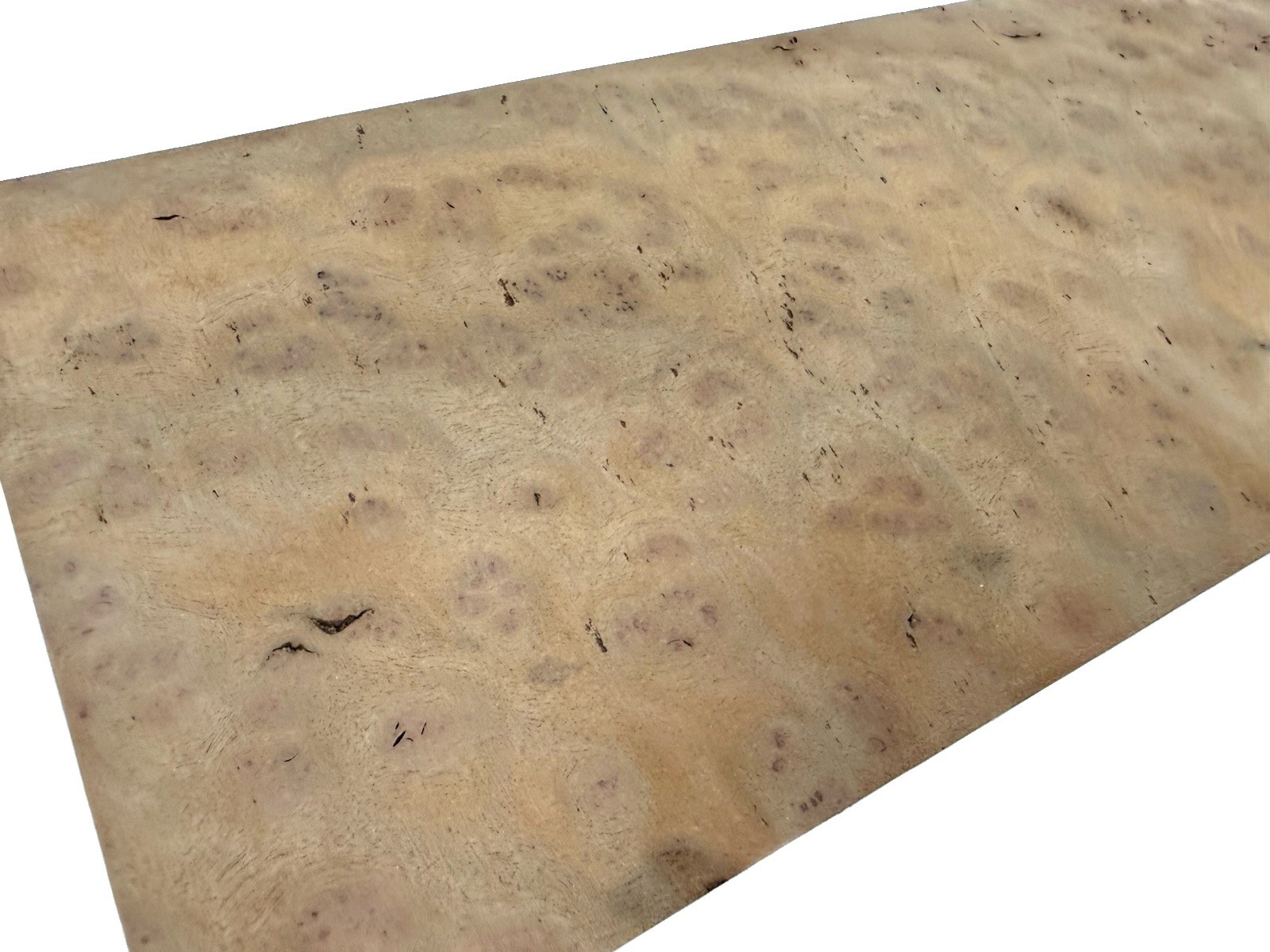 Camphor Burl wood insrument blank 20″ x 7-3/8” x 2″ (v20) dried billet