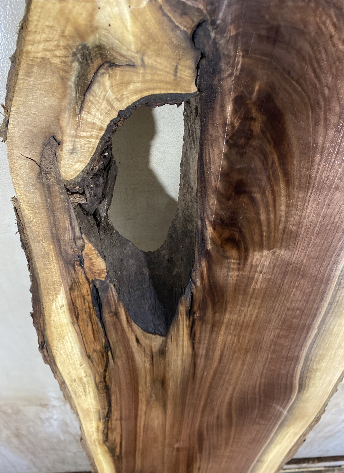 Live edge black walnut Wood slab kiln dried and planed 1”x10-13.5”x64”