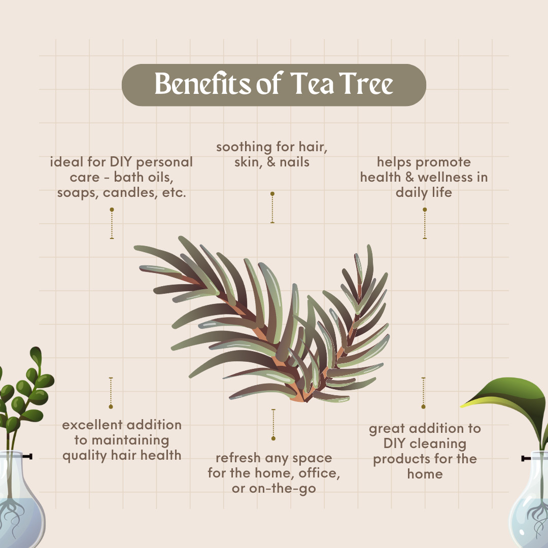 4 fl oz Tea Tree (Australia) Essential Oil (100% Pure & Natural) – GreenHealth