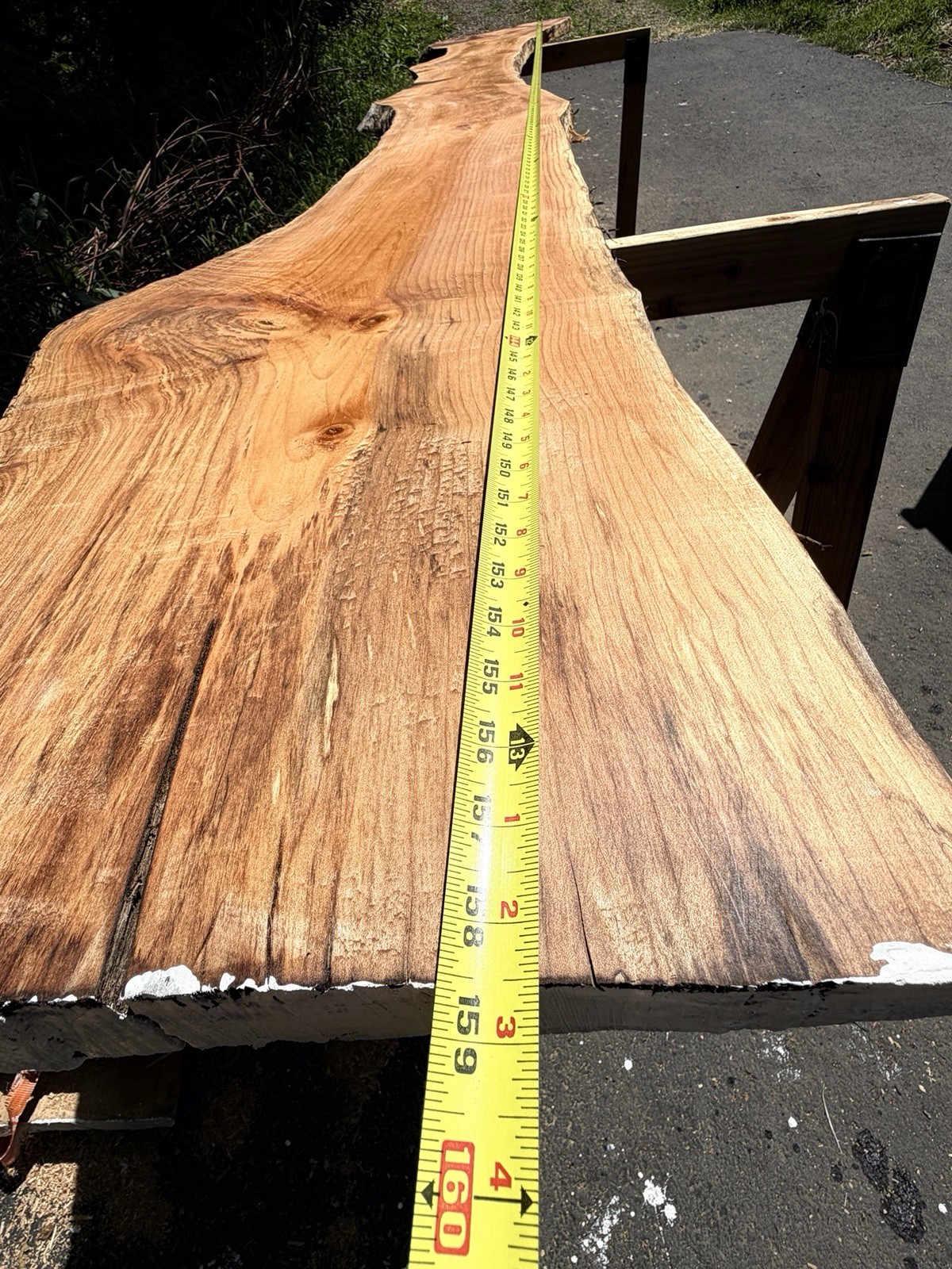 13’ Live Edge Big Leaf Maple Slab Highly Figured Low Moisture Delivery Options