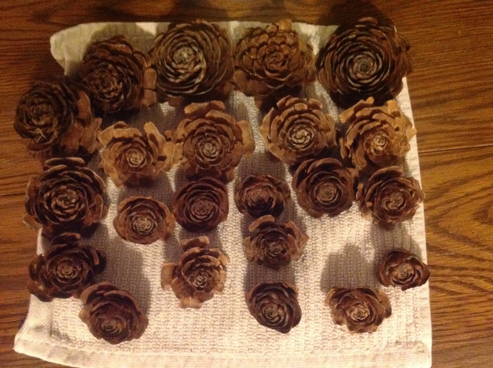 100 Cedar medium/Large cedar rose pine cone Wood Rustic Wedding Flowers Wooden