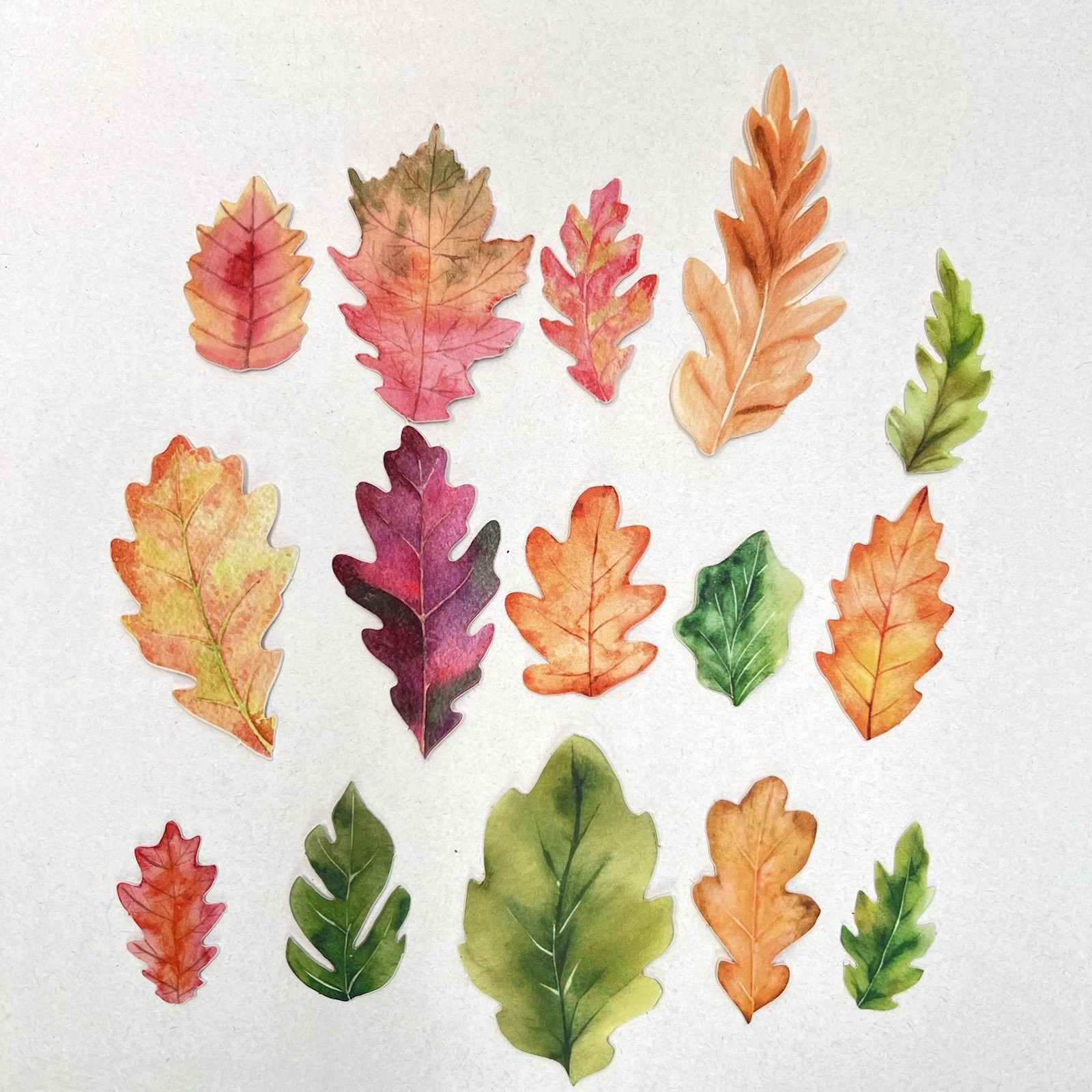 Autumn Oak Leaf Stickers Scrapbooking Junk Journaling Collage
