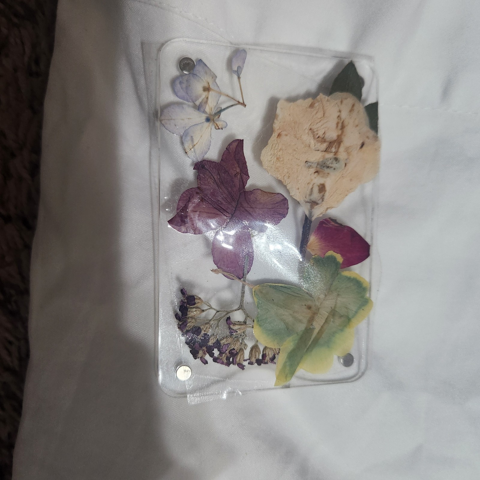 Assorted Pressed Dried Flowers Clear Resin Cards Multiple Plant Parts