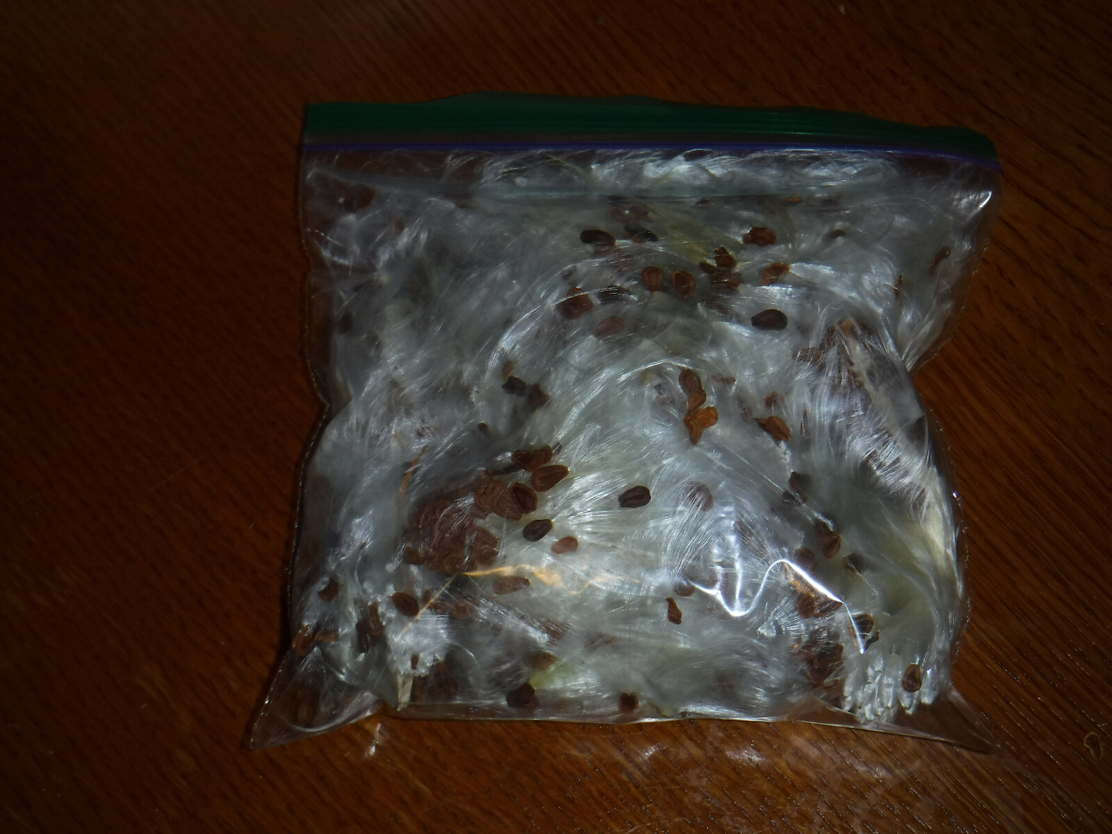 1/2+ oz Bag Milkweed Seed Fluff Floss Wind Checker Arts Crafts Fire Starters