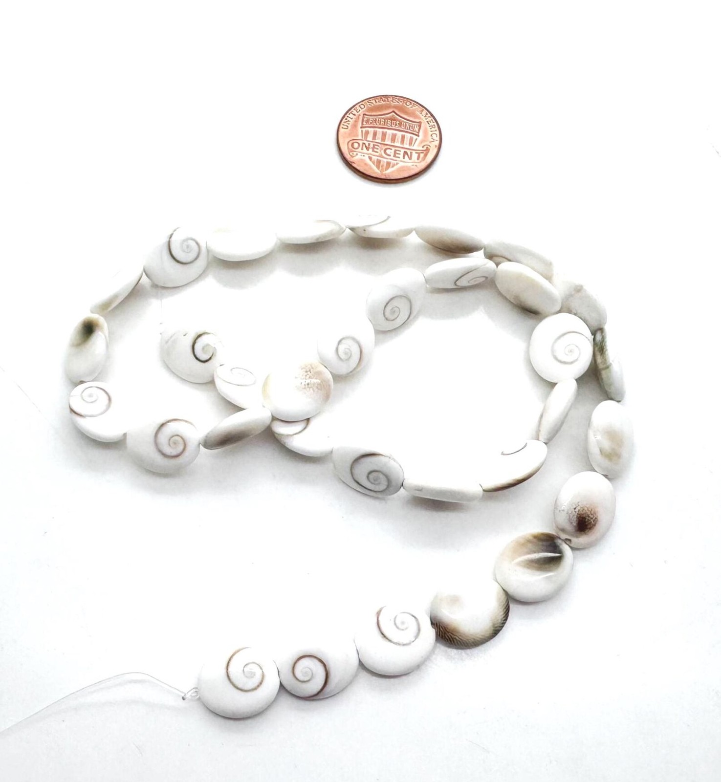Genuine Natural White Shiva Eye Pacific Cat’s Eye Spiral Shell Oval Beads PG291