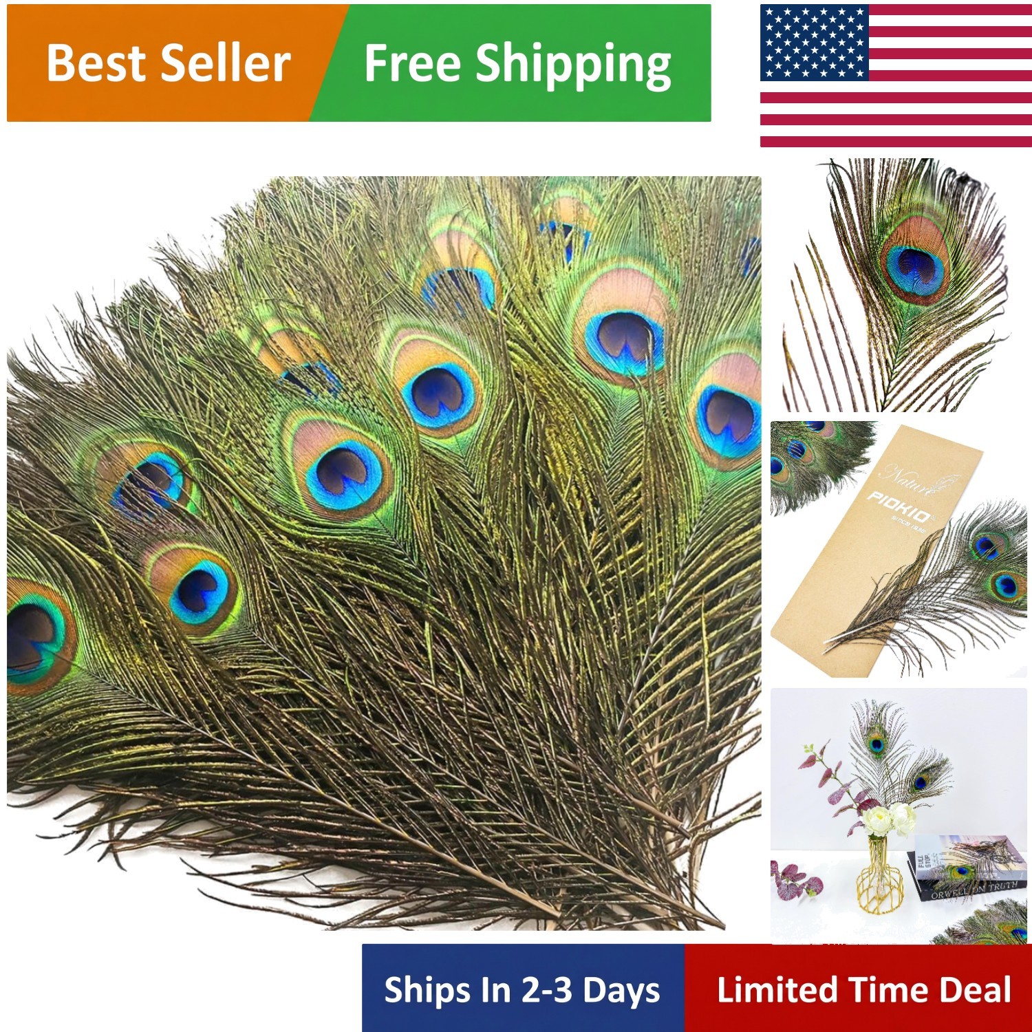 Cruelty-Free 10-12 Inch Feathers Pack – Perfect for Wedding & Christmas Decor